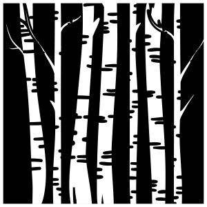 Seven Trees Aesthetics, PLLC