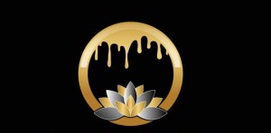 D&S Wellness Spa LLC