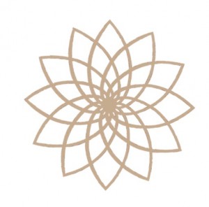 Star Rejuvenation  Wellness Center